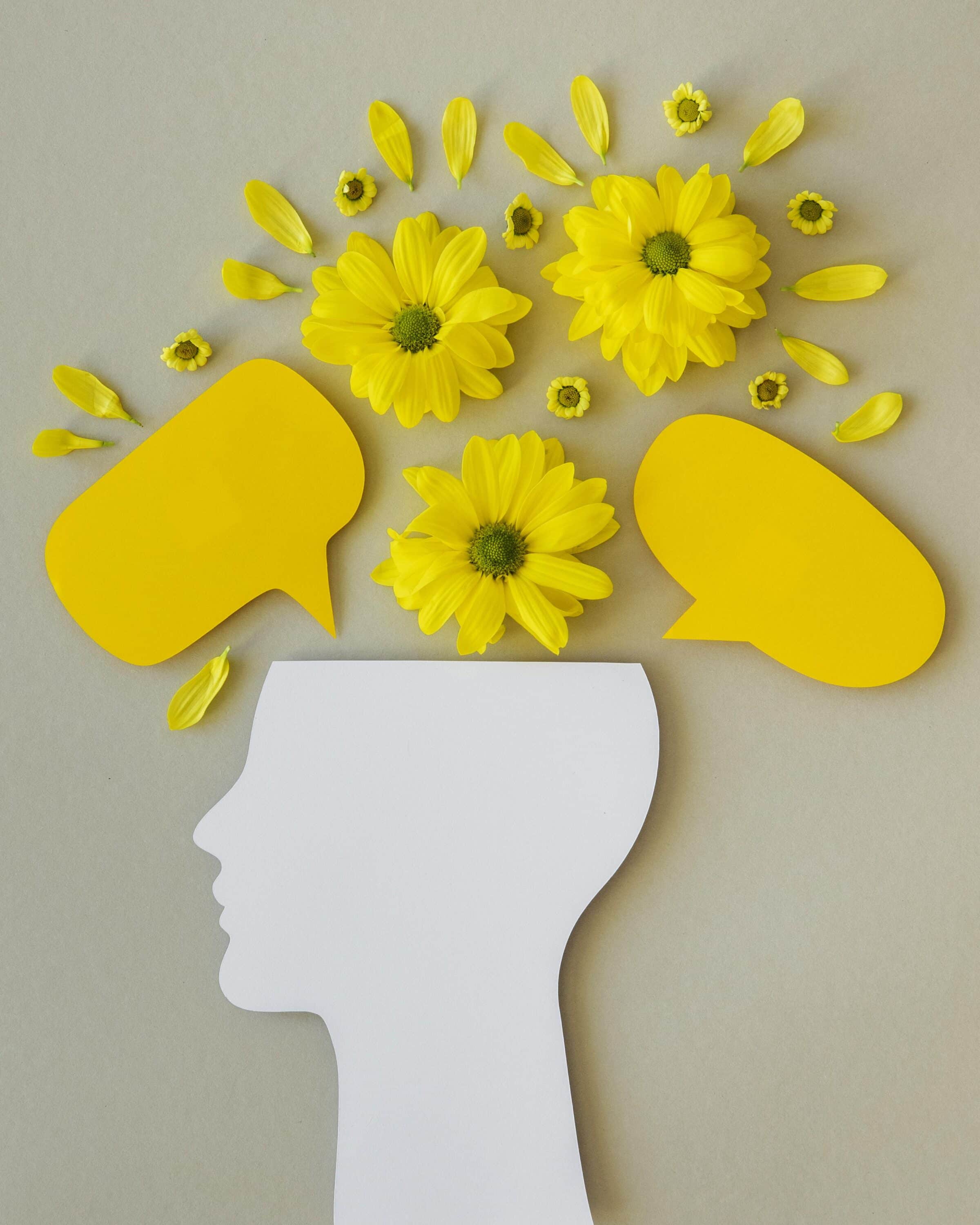 O papel da inteligência emocional na hora da prova